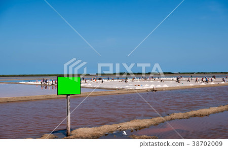 Salt farmer 38702009