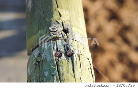 screw screwed in wood with wood shavings 38703759