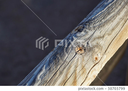 screw screwed in wood with wood shavings 38703799