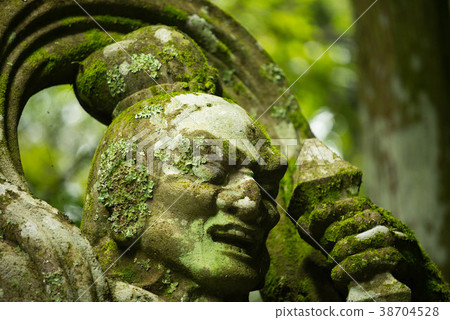 Nioh雕像Rokoji寺 38704528