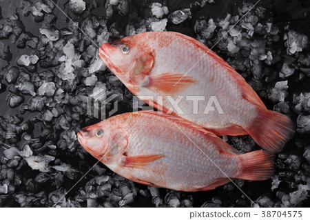 Two raw red tilapia fish on ice 38704575