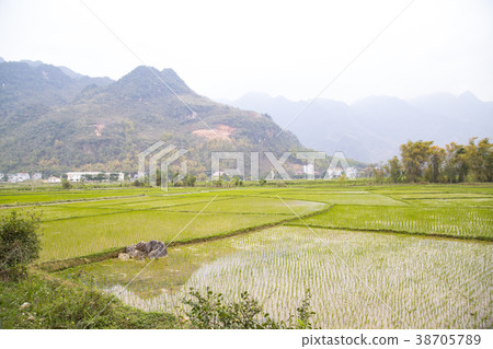 Suburbs of Hanoi Minority Village Mai Chau Countryside 38705789