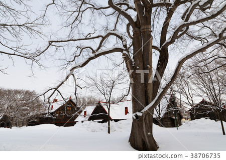 Sapporo Farming No. 2 Farm with Snowy Landscape Big Harnile Tree and Herd 38706735