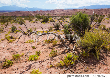 Desert landscape of province of La Rioja Desert landscape of province of La Rioja 38707870