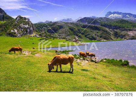 mountains landscape with lake and pasture 38707876
