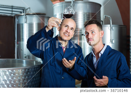Adult two workers examining sample of wine Adult two workers examining sample of wine 38710146