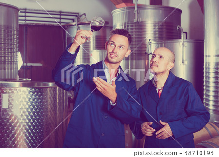 two workers on wine factory 38710193