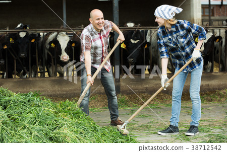 Farm employees with pitchforks near barn Farm employees with pitchforks near barn 38712542