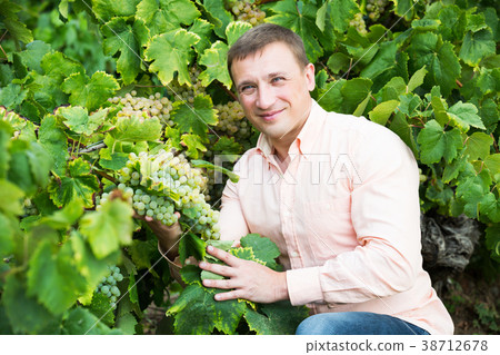 Vintner with clusters of grape 38712678