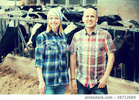Farm employees in livestock barn. Farm employees in livestock barn. 38712689