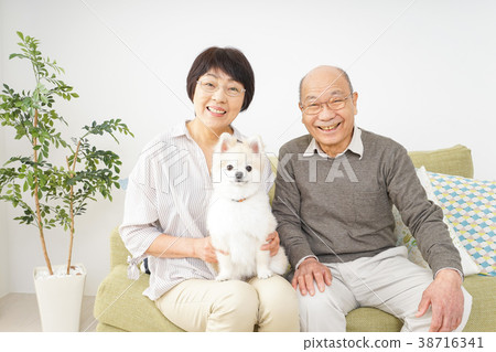 Senior couple keeping a dog 38716341