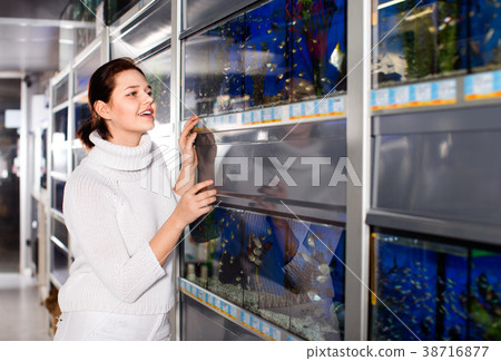 Girl in shop looking at different aquariums with colorful fish on several rows of shelves with aquariums Girl in shop looking at different aquariums with colorful fish on several rows of shelves with aquariums 38716877