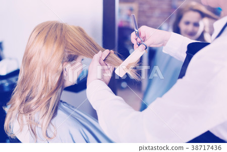 Hairdresser leveling and cutting hair to young blonde woman with use of scissors 38717436