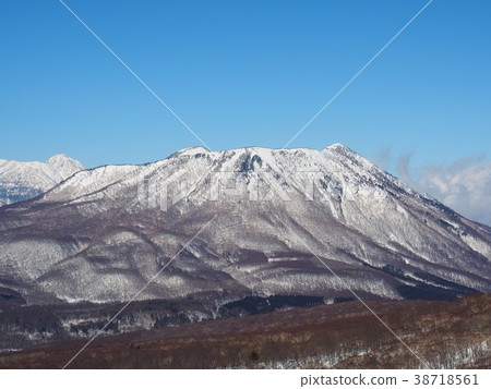 Sign of spring in Kurohimeyama 38718561