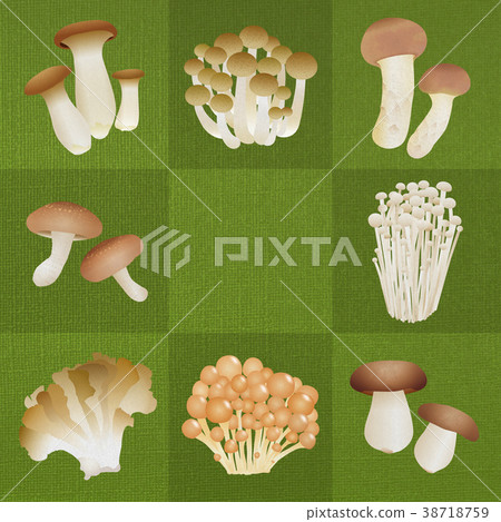 Various mushrooms _ moss green 38718759