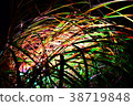 art 38719848