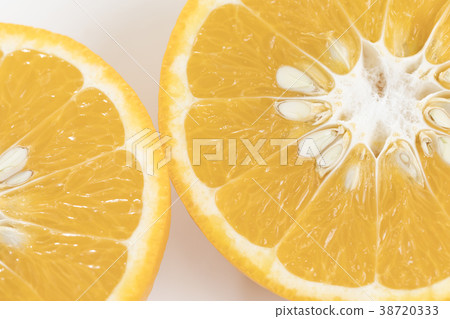 Iyo single simple white background photo Iyo single simple white background photo 38720333