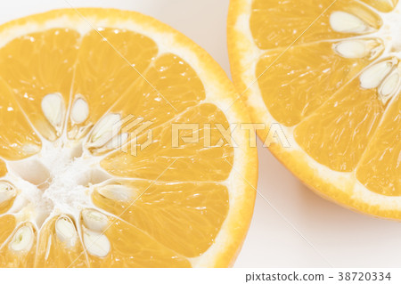 Iyo single simple white background photo Iyo single simple white background photo 38720334