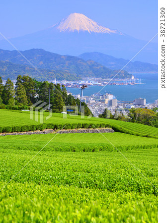 Nihondaira的春天風景-8976 Nihondaira的春天風景-8976 38721309