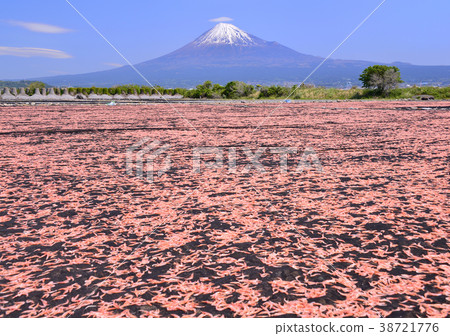 Spring scenery from Fujikawa riverbed-9269 38721776