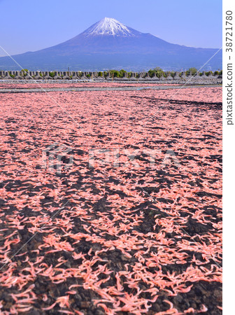 富士川河床-9283的春天風景 38721780