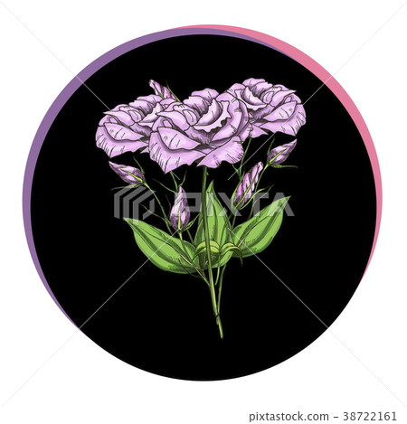 Beautiful eustoma flowers in a black circle.  38722161