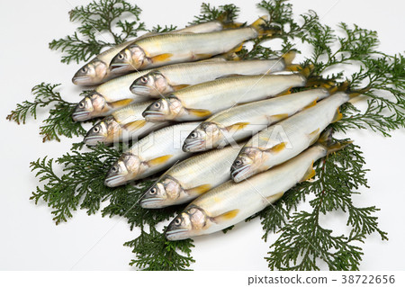 stock photo: fish, fishes, freshwater fish