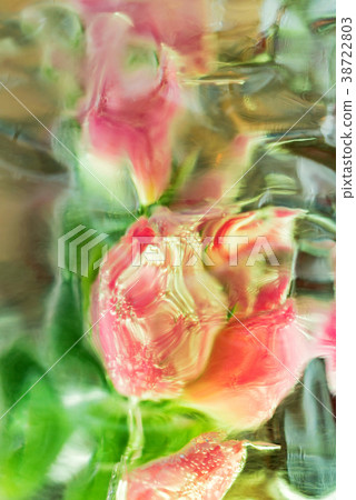 Decorative bunch of tulips in ice 38722803