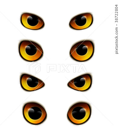 Owl Eyes Realistic Collection 38722804