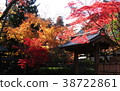 Autumn leaves of Hirabayashi Temple (2) 38722861