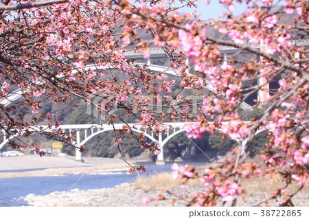 Sagami River walkway Sagami River walkway 38722865