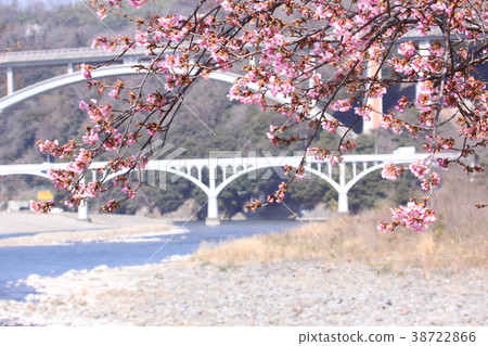 相模川走道（2） 38722866