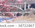 Sagami River walkway (3) 38722867