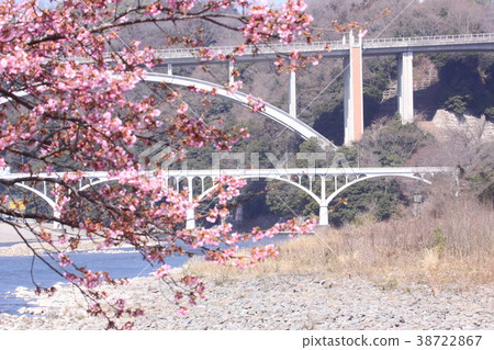 相模川走道(3) 相模川走道(3) 38722867