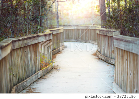 Boardwalk in Everglades 38723186