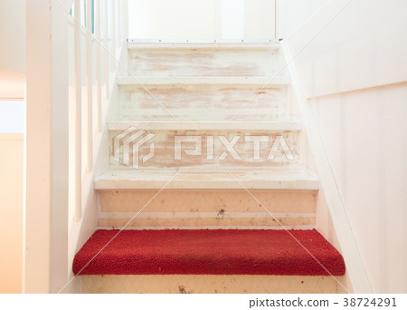 Removing carpet, glue and paint from an stairs Removing carpet, glue and paint from an stairs 38724291