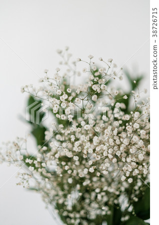 Bouquet of white gypsophila Bouquet of white gypsophila 38726715
