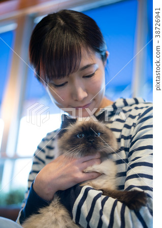 貓動物療法喜馬拉雅山 38726941