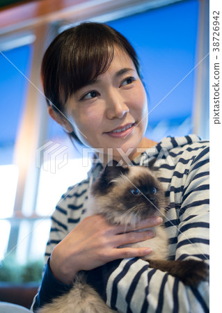 貓動物治療寵物 貓動物治療寵物 38726942