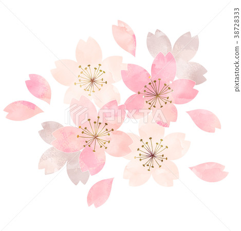 櫻花_開花情況_開始分散 38728333