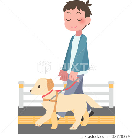 A guide dog and a walking man 38728859