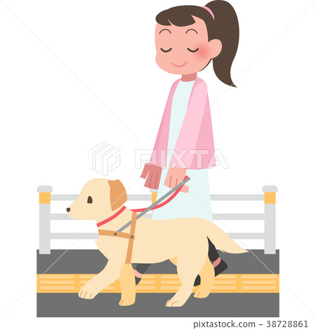 Woman walking with a guide dog Woman walking with a guide dog 38728861
