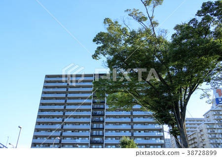 都市風景(東京,Oi,夏天) 都市風景(東京,Oi,夏天) 38728899