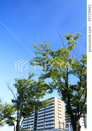 都市風景(東京,Oi,夏天) 都市風景(東京,Oi,夏天) 38728901