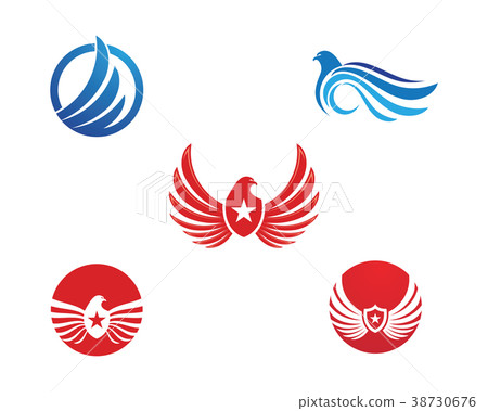 Wing Falcon Logo Template vector 38730676