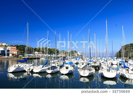 諸磯灣　 38730689