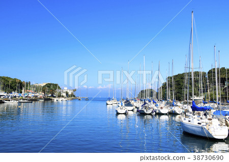 諸磯灣　 38730690