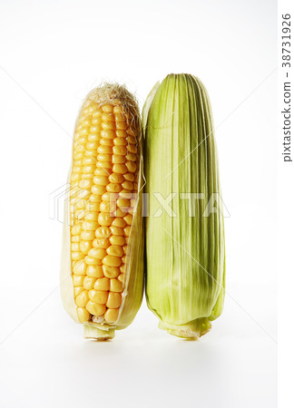 玉米 玉米 38731926