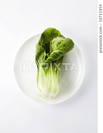白菜 38731954