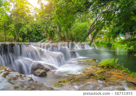 Waterfall in rain forest at national park 38731955
